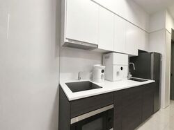 Sims Urban Oasis (D14), Condominium #559690471